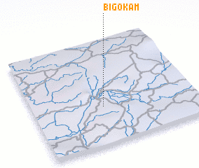 3d view of Bigokam