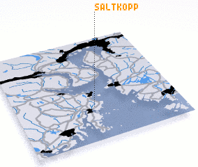 3d view of Saltkopp