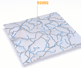 3d view of Nsung