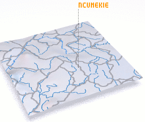 3d view of Ncumekie