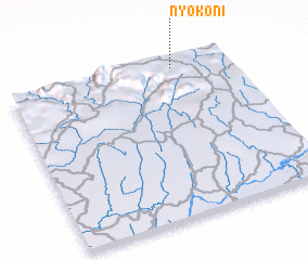 3d view of Nyokon I