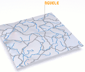 3d view of Nguele