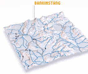 3d view of Ban Kimstang