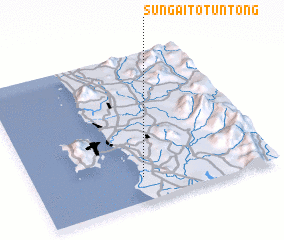 3d view of Sungai To\