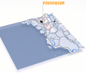 3d view of Pokok Asam