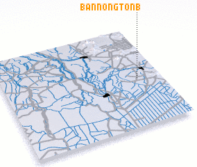 3d view of Ban Nong Ton (1)