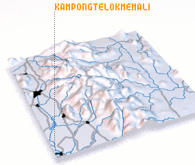 3d view of Kampong Telok Memali