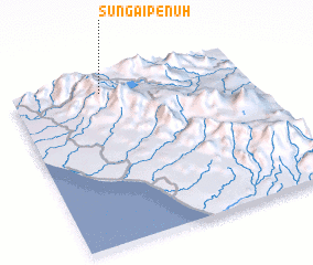 3d view of Sungaipenuh