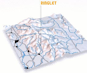 3d view of Ringlet