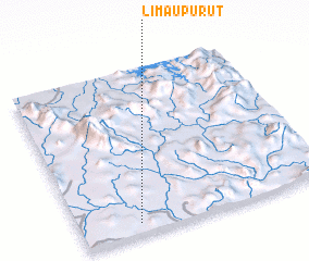 3d view of Limau Purut