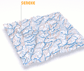 3d view of Seneke