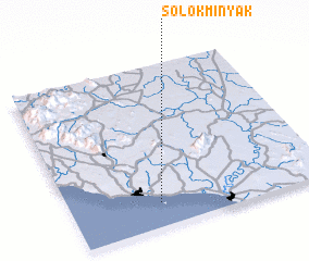 3d view of Solok Minyak
