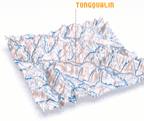 3d view of Tong Qua Lin