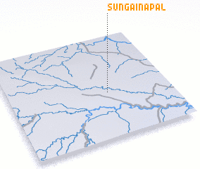 3d view of Sungainapal