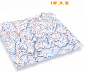 3d view of Tom Loung