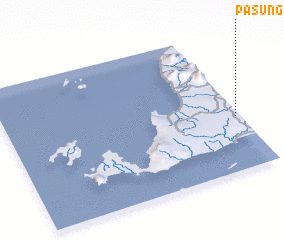 3d view of Pasung