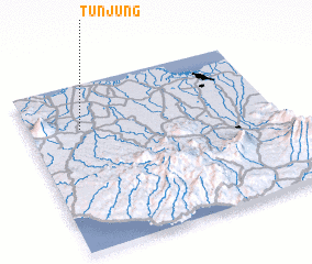 3d view of Tunjung