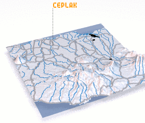 3d view of Ceplak