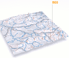 3d view of Meo