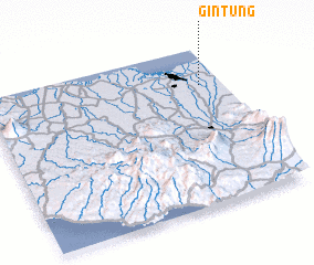 3d view of Gintung