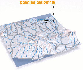 3d view of Pangkalanuringin