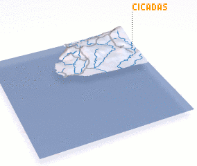 3d view of Cicadas