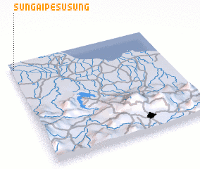 3d view of Sungaipesusung