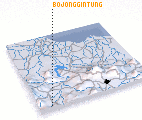 3d view of Bojonggintung