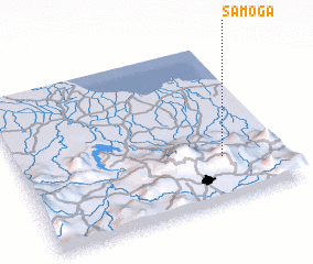 3d view of Samoga