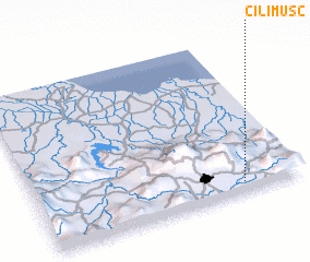 3d view of Cilimus 2
