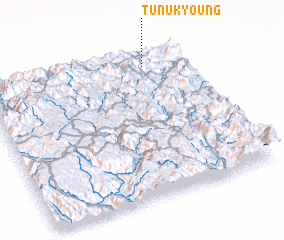 3d view of Tu Nuk Young