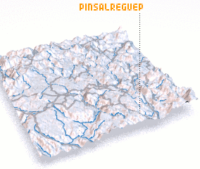 3d view of Pin Sal Reguêp