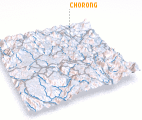 3d view of Cho Rong