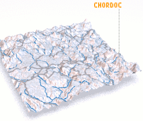 3d view of Chordoc
