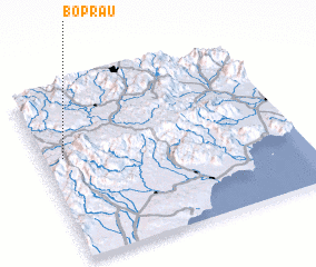 3d view of Boprau