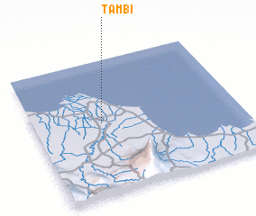 3d view of Tambi