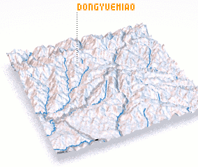 3d view of Dongyuemiao