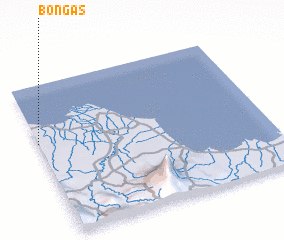 3d view of Bongas
