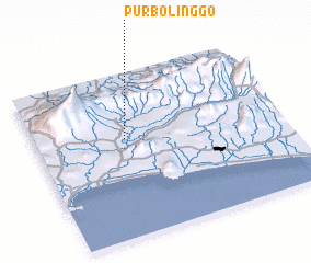 3d view of Purbolinggo