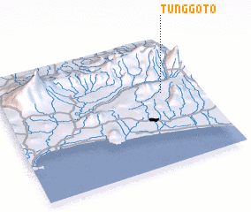 3d view of Tunggoto