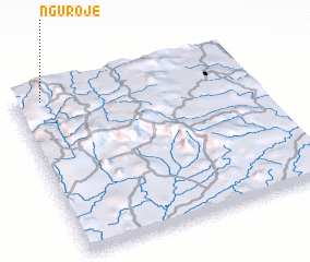 3d view of Nguroje