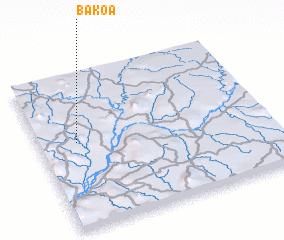 3d view of Bakoa