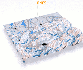 3d view of Omes