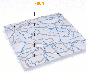 3d view of Akom