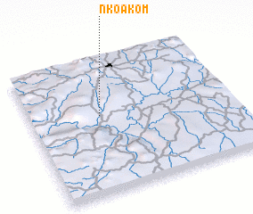 3d view of Nkoakom