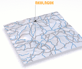 3d view of Nkolngok