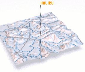 3d view of Haliru