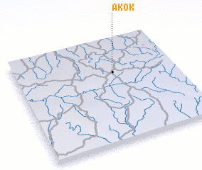 3d view of Akok