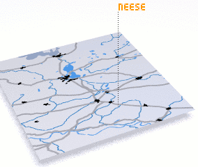 3d view of Neese