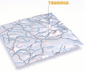 3d view of Tiba Monga